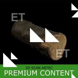 3D Scan of Tree Wood #2