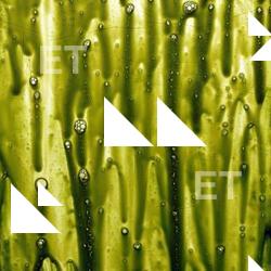 Photo Textures of Color Splatter