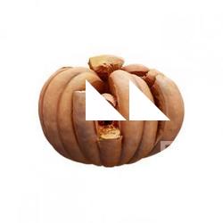 Pumpkin Crashed Clean 3D Scan #6