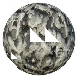 PBR Texture of Tree Bark 4K