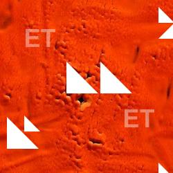 Photo Textures of Painting