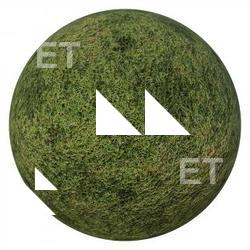 PBR Texture of Grass 4K
