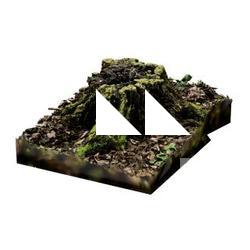 Stump Tree RAW 3D Scan #2