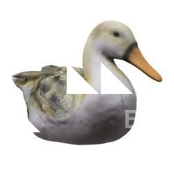 Ceramic Duck Base 3D Scan