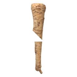 Parsley Root 3D Scan Retopo
