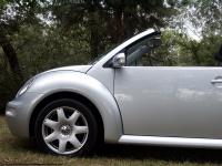 Photo Reference of Volkswagen Beetle