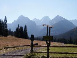 Photo Textures of Background Mountains