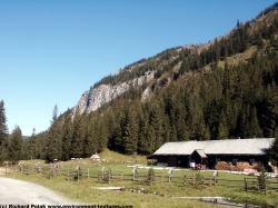 Photo Textures of Background Mountains