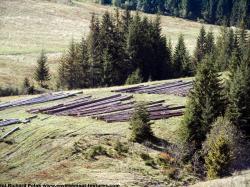 Photo Textures of Background Mountains