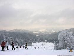 Photo Textures of Background Nature Winter