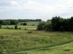 Background Forests