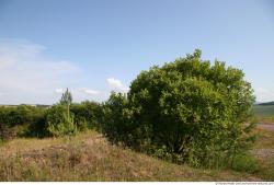 Photo Textures of Background Stone Pit