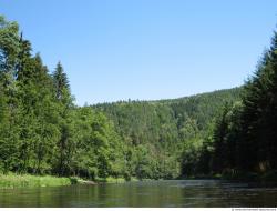 Photo Reference of Background Forest