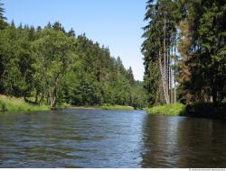 Photo Reference of Background Forest