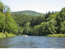 Photo Reference of Background Forest