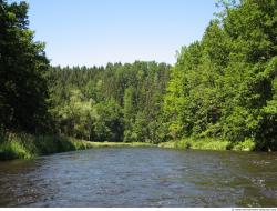 Photo Reference of Background Forest