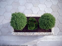 Photo Texture of Concrete Pot