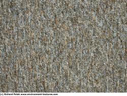 Carpet Fabric