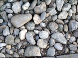 Photo Textures of Gravel