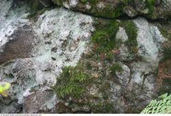 Photo Textures of Rock Mossy