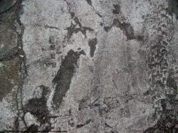 Photo Texture of Concrete Ground Damaged