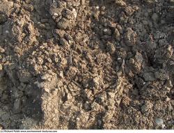 Rough Soil