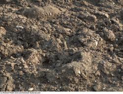 Rough Soil