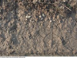 Cracked Soil