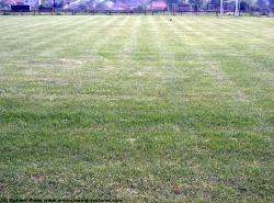 Photo Textures of Grass