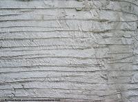 Photo Texture of Wall Stucco