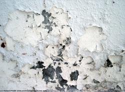 Walls Plaster Damaged