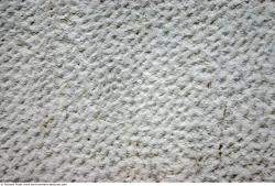 Photo Textures of Wall Plaster