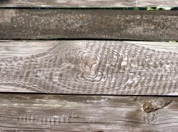 Bare Planks Wood