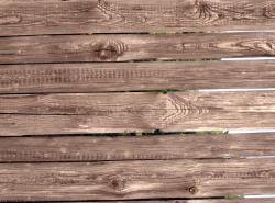 Bare Planks Wood