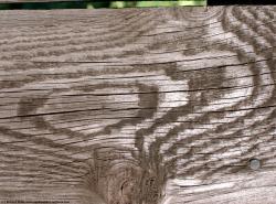 Rough Wood