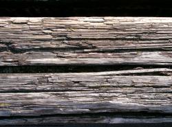 Rough Wood