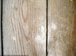 Photo Textures of Mixed Wood