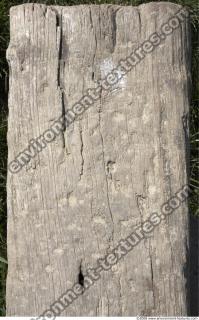 Wood 0051