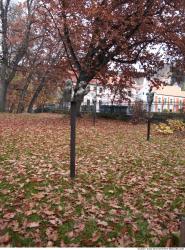 Background Gardens