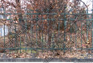 Walls Fence 0132