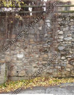 Walls Stone 0066