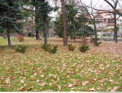 Background Gardens