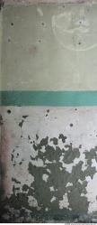 Walls Plaster