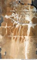 Walls Plaster 0041