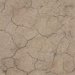 Photo Textures of Seamless Soil