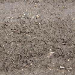 Photo Textures of Seamless Soil