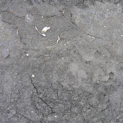 Photo Textures of Seamless Soil