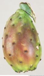 Fruit