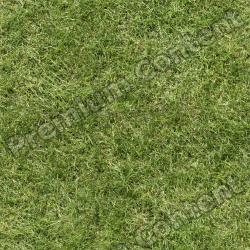 Seamless Grass