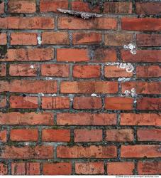 Wall Bricks Damaged